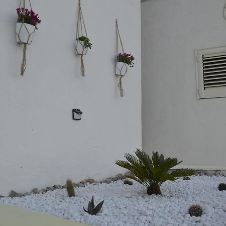 Casa Vacanza Salentina Gagliano del Capo Esterno foto